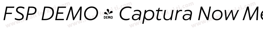 FSP DEMO - Captura Now Medium字体转换